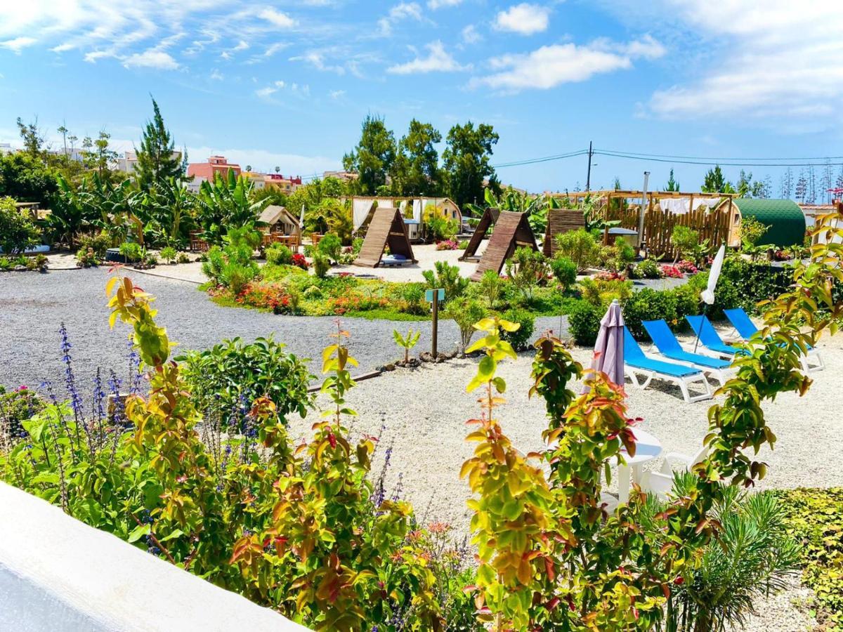Arrebol Suite Con Jacuzzi, Piscina Y Naturaleza Buzanada Exterior photo